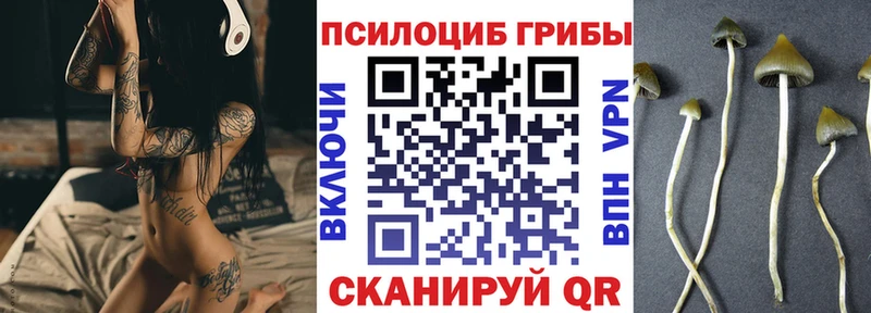 Псилоцибиновые грибы Psilocybine cubensis  блэк спрут как войти  Чита 