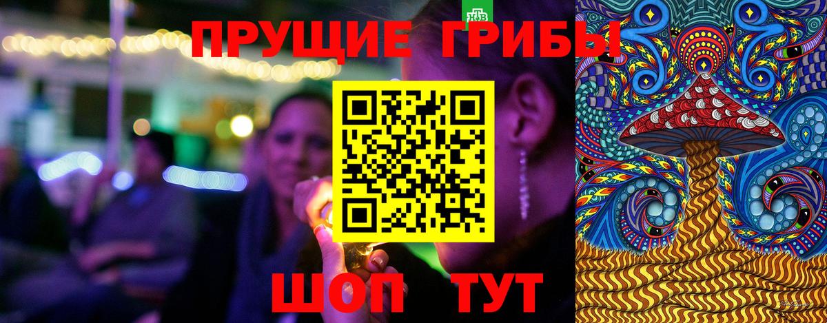 Галлюциногенные грибы Cubensis Чита