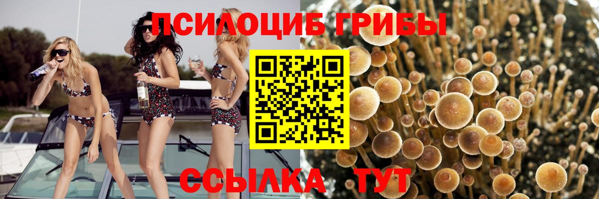 Мяу-Мяу  Канабис  Мяу-Мяу  Чита  Вход с VPN  Канабис  Гашик  A-PVP  MDMA  ЛЁД  Купить наркотик  Кокаин 